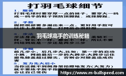 球速体育官网
