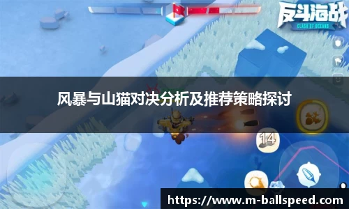 风暴与山猫对决分析及推荐策略探讨